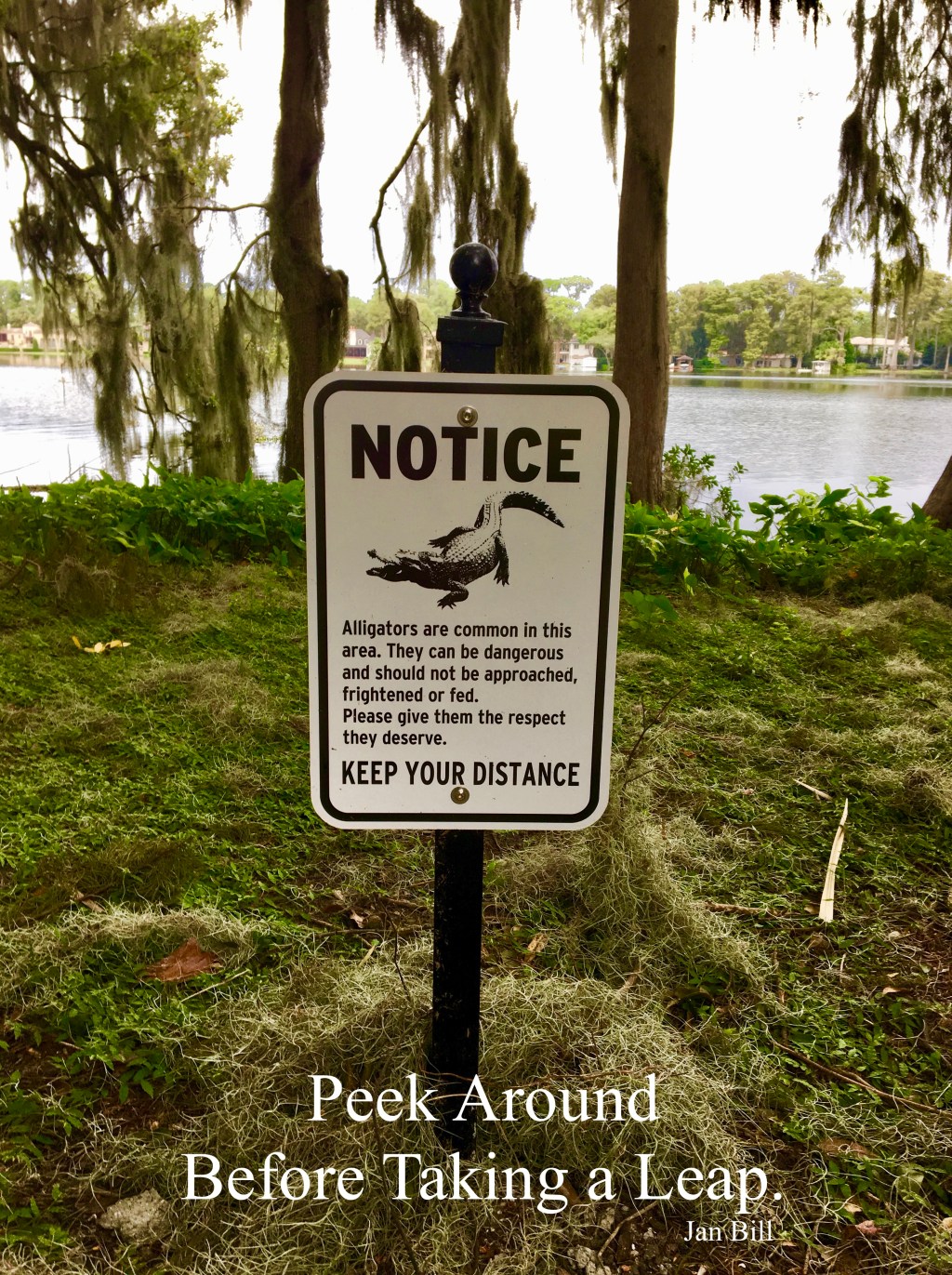 image of sign warning about alligators