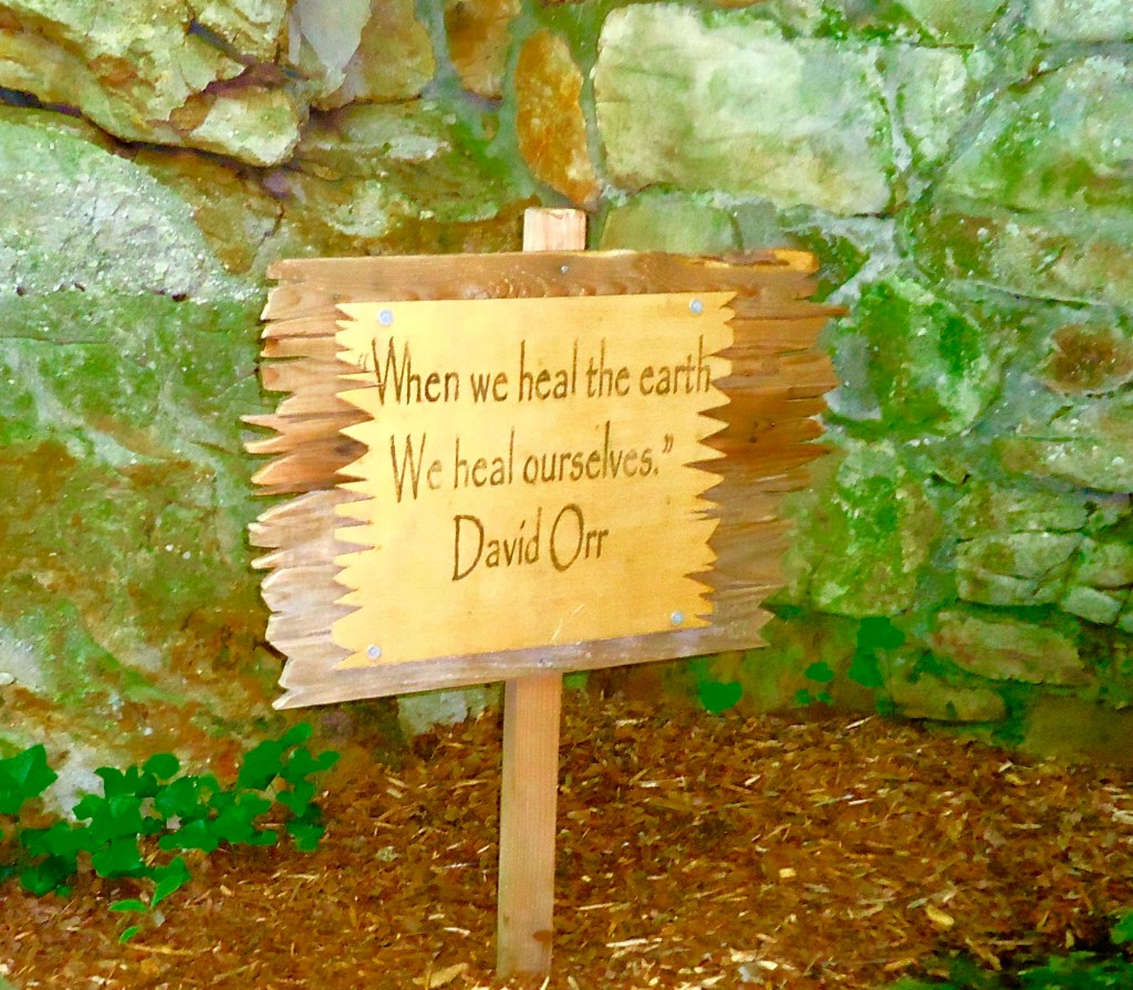 Join the World Peace&nbsp;Diet