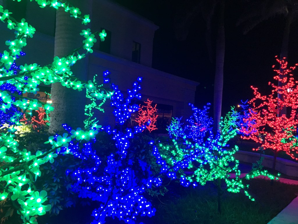 image of Japanese light trees